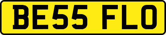 BE55FLO