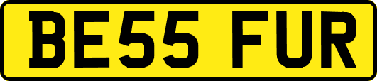 BE55FUR