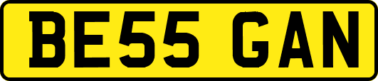 BE55GAN