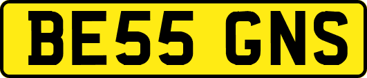 BE55GNS