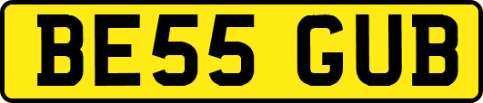 BE55GUB