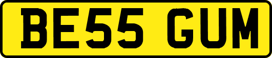 BE55GUM