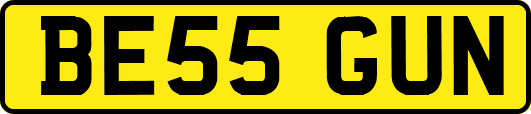 BE55GUN