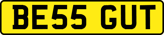 BE55GUT