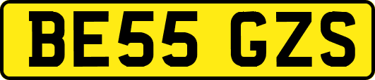 BE55GZS