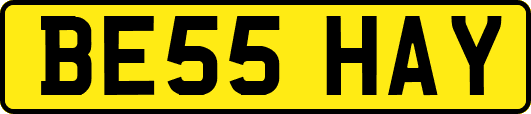BE55HAY