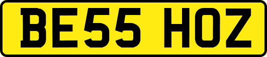 BE55HOZ