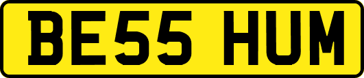 BE55HUM