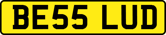 BE55LUD