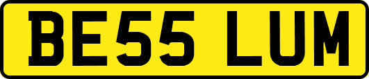 BE55LUM