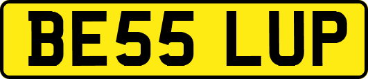 BE55LUP