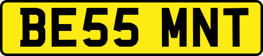 BE55MNT