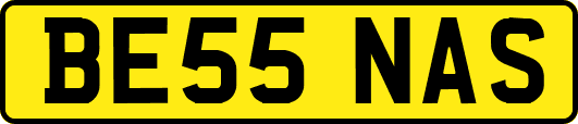 BE55NAS