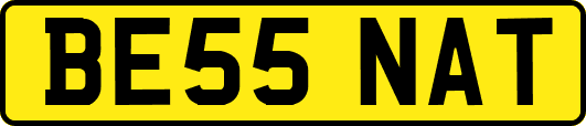 BE55NAT
