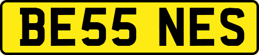 BE55NES