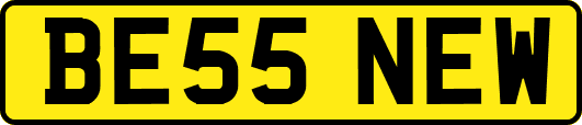 BE55NEW