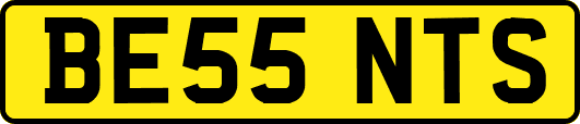 BE55NTS