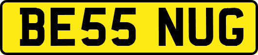 BE55NUG