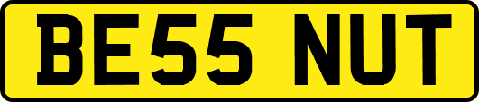 BE55NUT