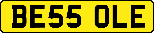 BE55OLE