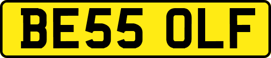 BE55OLF
