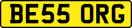 BE55ORG