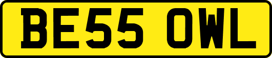 BE55OWL