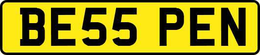 BE55PEN