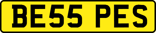 BE55PES