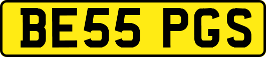 BE55PGS