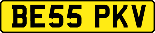 BE55PKV