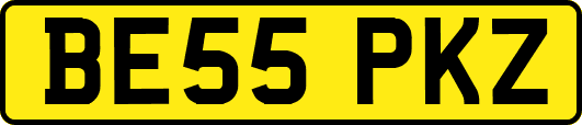 BE55PKZ