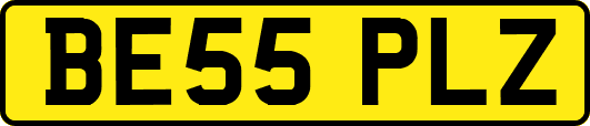 BE55PLZ
