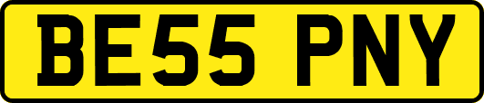 BE55PNY