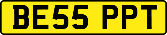 BE55PPT