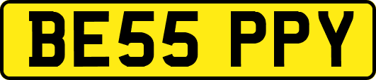 BE55PPY