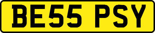BE55PSY