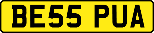 BE55PUA