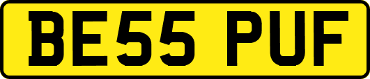 BE55PUF
