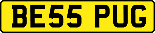 BE55PUG