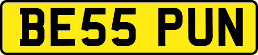 BE55PUN