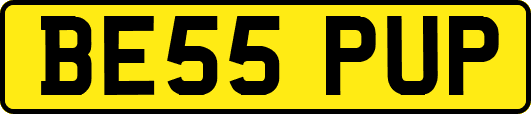 BE55PUP