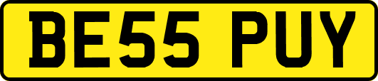 BE55PUY