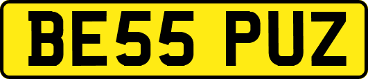 BE55PUZ