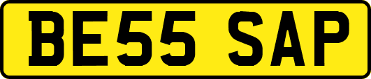 BE55SAP