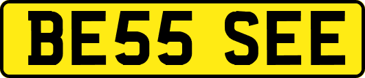 BE55SEE