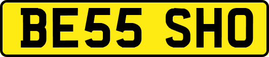 BE55SHO