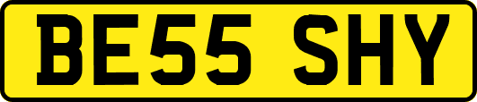 BE55SHY