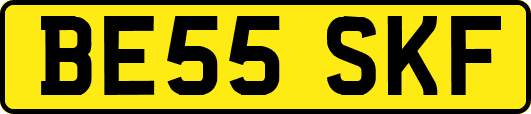 BE55SKF