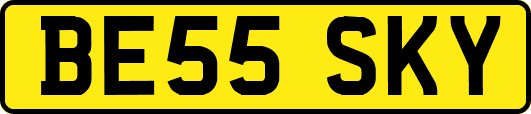 BE55SKY